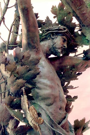 The Tree of Life