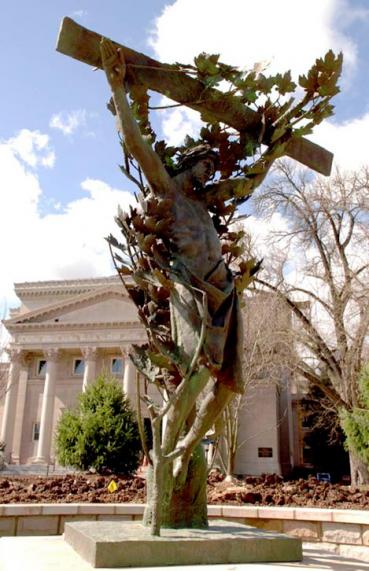 The Tree of Life